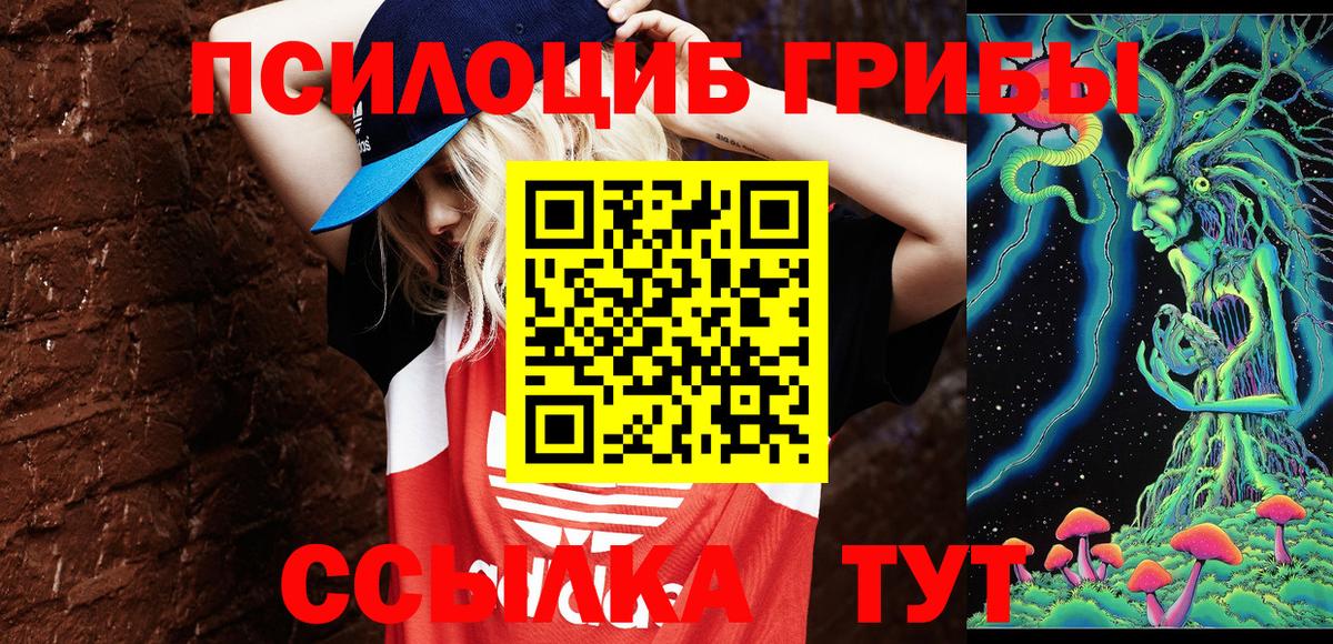 Псилоцибиновые грибы мухоморы Можайск