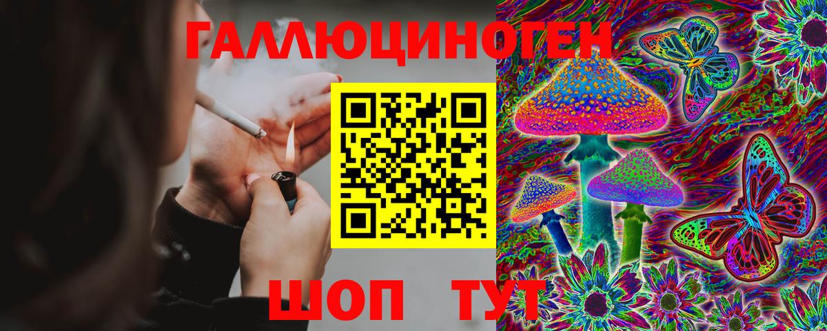 Галлюциногенные грибы Psilocybe  Псилоцибиновые грибы Psilocybine cubensis  Можайск  Вход с VPN 